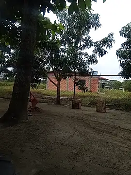 Show Webcam de Abel-09x