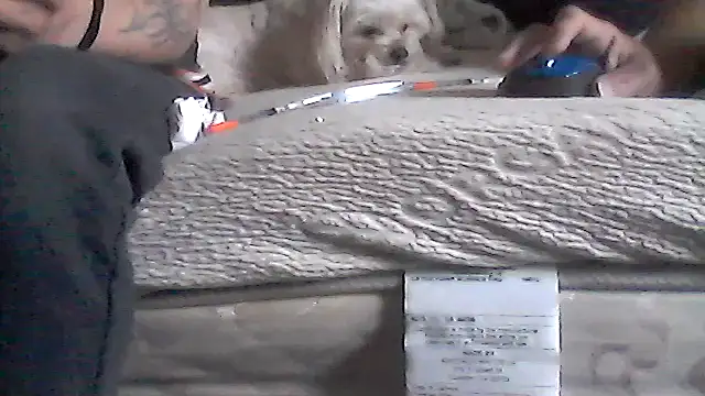 Chat XXX en directo de Silencio26