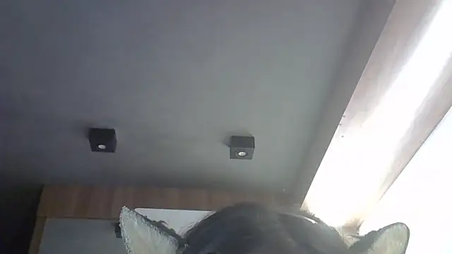 Show de SkinnyKitten na webcam