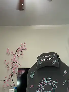 Show Webcam de Mamachulita