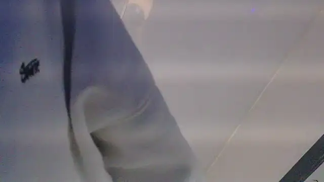 Austin_Reedss 웹캠 쇼