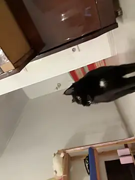 Živý XXX chat LeyaJohnson