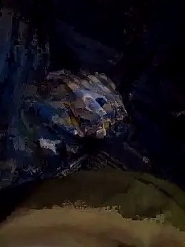 Tamilcbebbc 网络视讯表演