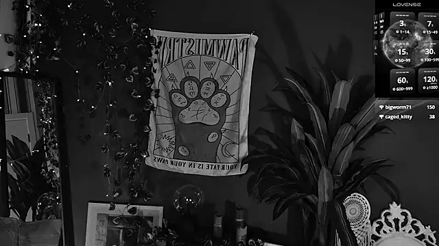 Noah_ElmerX's Live XXX Chat