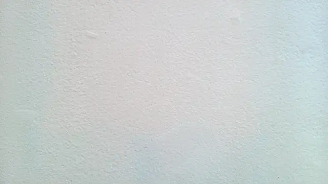 دردشة NikolCruz الجنسية المباشرة