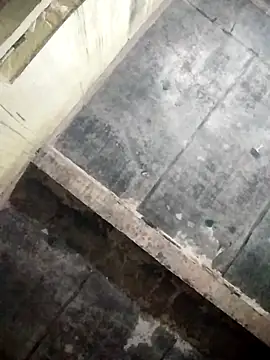 Loomaraj Pertunjukan Webcam