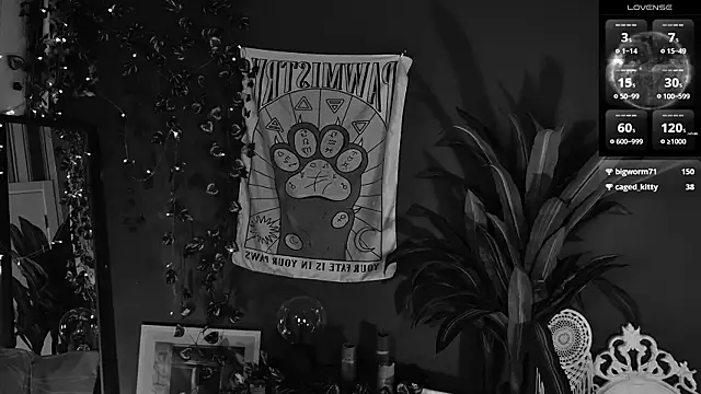 Noah_ElmerX's Live XXX Chat