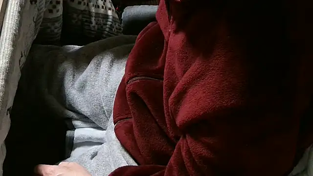 cinnabar_redのウェブカメラショー