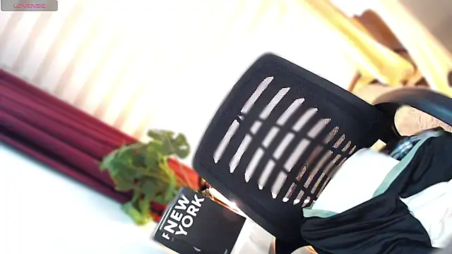 EmpireState_Of_Mindn Webbikameraesitys