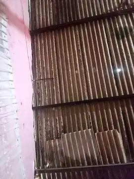 Hellentrans24n Live XXX chat