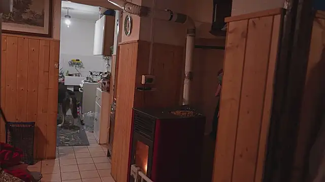 VanessaDoyleのウェブカメラショー