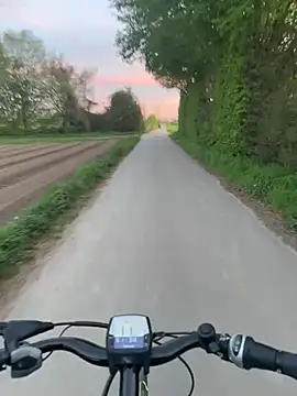 SoftAmjad 웹캠 쇼