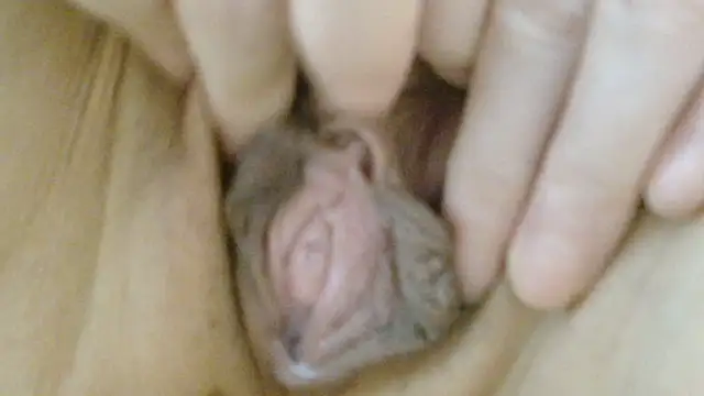 Show Webcam de sonyx