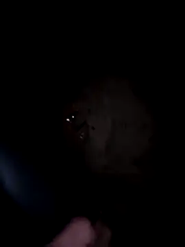 misscectito13 Chat XXX in diretta