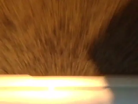 geilgoed2's Webcam Show