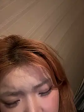 Rabbit-15 Show Webcam