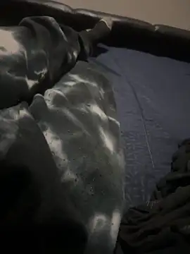 Show webcam de ROBOSTALLION