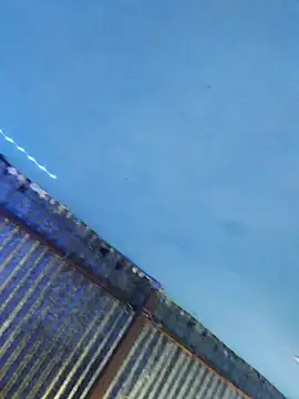 Jossy_1998: онлайн-секс-чат