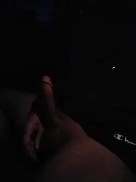 penisblock 网络视讯表演