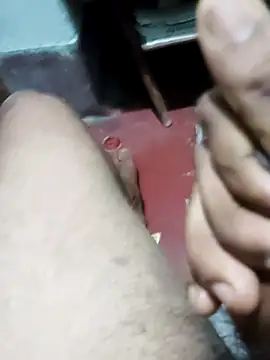 Show Webcam de modelmanr