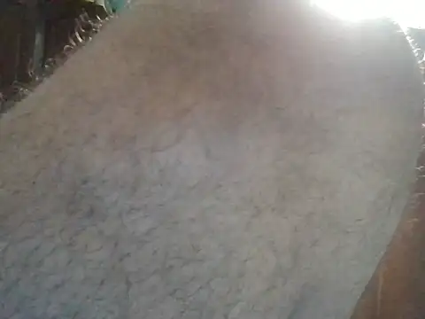 Show de webcam de bigdick211292