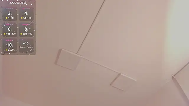 แชท XXX สดของ FaloonRoussel