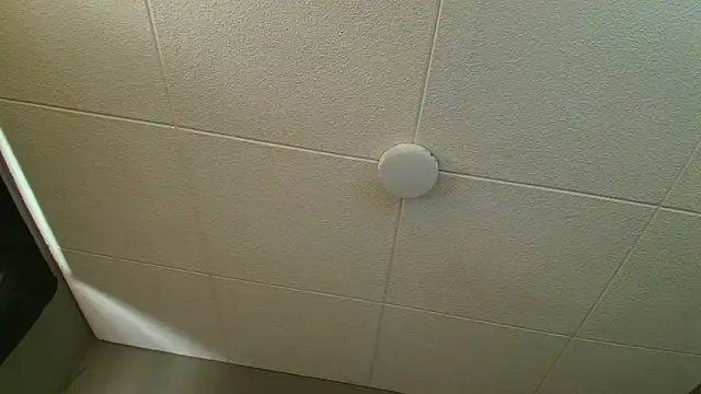 PaulEvens Pertunjukan Webcam