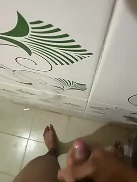 dickmaster8782 Pertunjukan Webcam