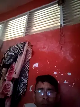 VL25DN26のウェブカメラショー