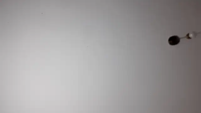 Chatroom XXX en direct de PearlSexxy69