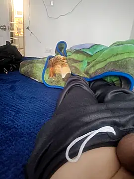 ferrerolatino Webcam show