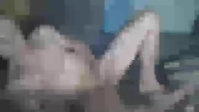 دردشة chceciedalsiebie الجنسية المباشرة