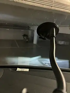 Pertunjukan Kamera Web LeDukx