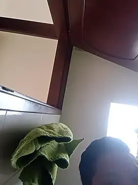 Skilam07n Webbikameraesitys