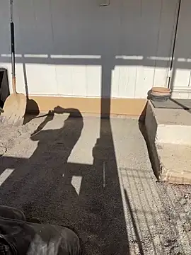 TranSexualJade95 webkamerás műsora