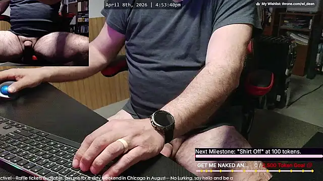 Show webcam de DeanonCam