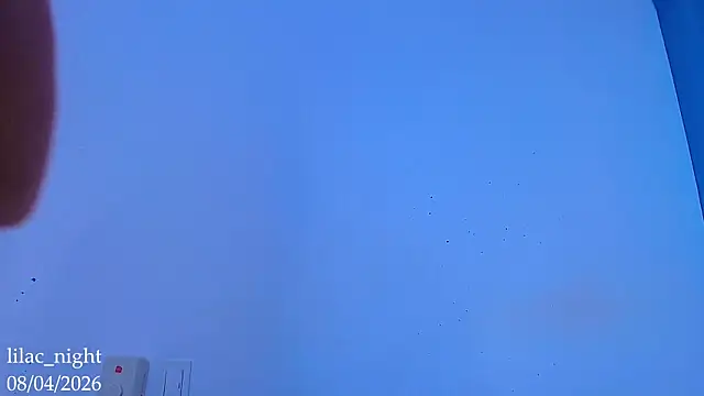 Chat XXX ao vivo de lilac_night33