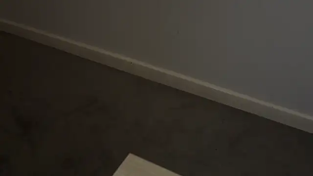 Show de webcam de adelaide2026