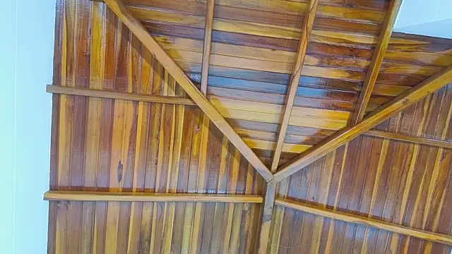 Chat XXX Live Isabella_Dawn