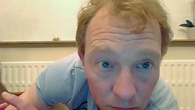 Show webcam de bertolini