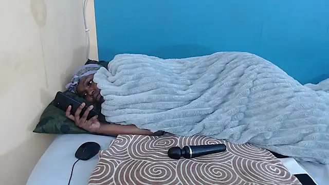 Show Webcam de Tallatoya2026