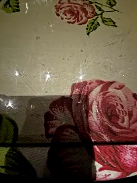 Show Webcam de Activ1top