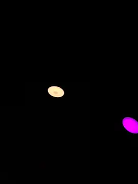 Poli_amor2025 网络视讯表演