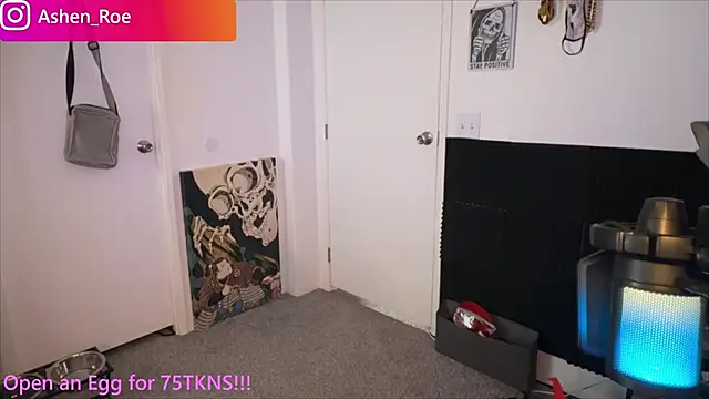 Chat +18 de AshenRoe ao vivo
