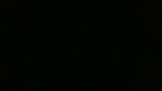 chichoplus webkamerás műsora