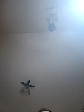 vulpe8400 Webcam show