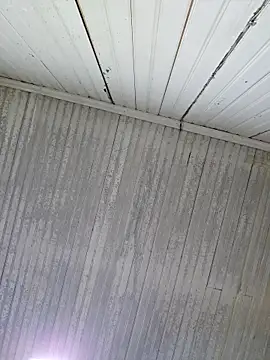 Chat XXX en directo de bellafortune51