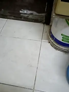 ConvoyedSubgroup Adlı Modelin Web Kamerası Şovu