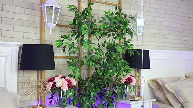 EmillyBronte élő XXX-chatje