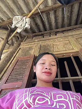 beobeo_2xx 网络视讯表演